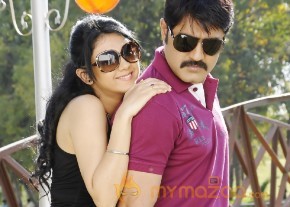 Veediki Dookudekkuva Movie Stills photo 19