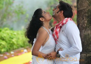 Veelaithey Premiddam movie stills photo 17