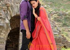 Vennello Hai Hai  photo 3