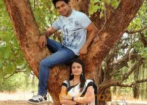  Vennello Hai Hai  photo 14