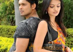  Vennello Hai Hai  photo 5