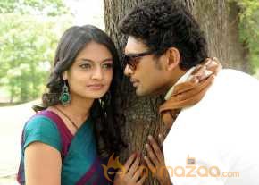 Vennello Hai Hai  photo 2