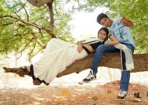  Vennello Hai Hai  photo 9