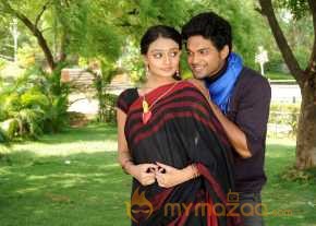 Vennello Hai Hai  photo 8