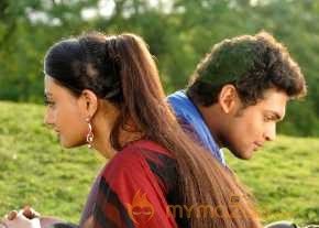  Vennello Hai Hai  photo 10