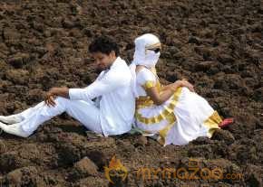  Vennello Hai Hai  photo 12