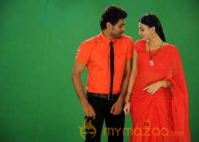  Vennello Hai Hai  photo 6