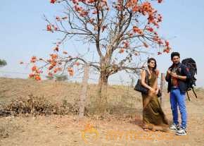  Vennello Hai Hai  photo 7