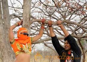  Vennello Hai Hai  photo 4