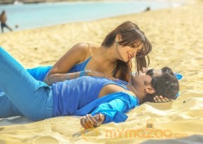 Vinodam 100 Percent New  Pics photo 2