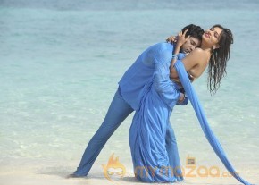 Vinodam 100 Percent New  Pics photo 3