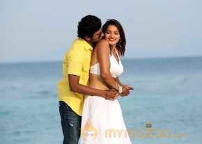 Vinodam 100 Percent photo 12
