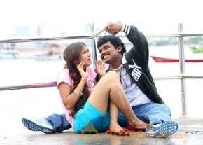 Vinodam 100 Percent