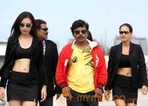 Vinodam 100 Percent photo 9