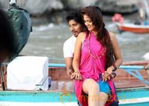 Vinodam 100 Percent photo 13