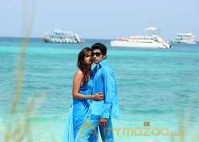 Vinodam 100 Percent photo 10