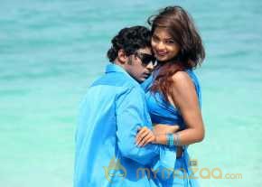Vinodam 100 Percent photo 16