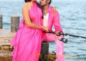 Vinodam 100 Percent photo 24