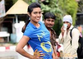 Vinodam 100 Percent photo 15