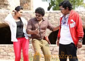 Vinodam 100 Percent photo 17