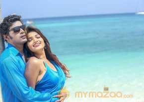 Vinodam 100 Percent photo 21