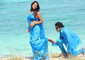 Vinodam 100 Percent photo 6
