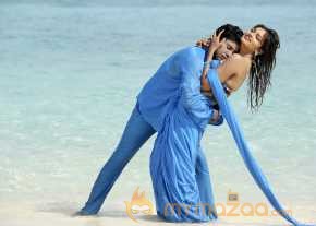Vinodam 100 Percent photo 18