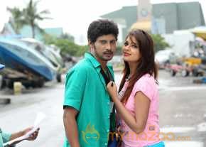 Vinodam 100 Percent photo 5