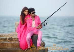 Vinodam 100 Percent photo 23