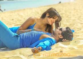 Vinodam 100 Percent photo 3