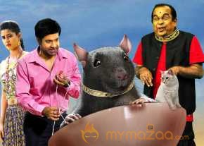  Yeluka Majaka  photo 20