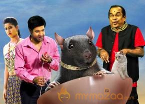 Yeluka Mazaka Telugu Movie Hd Wallpapers Stills photo 23
