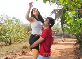 Yeluka Mazaka Telugu Movie Hd Wallpapers Stills photo 24