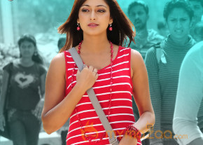 Yuvakudu Movie Stills   photo 30