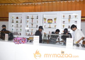 Balakrishna's Daughter Tejaswini Marriage Mandap Sets Photos 