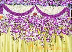 Balakrishna's Daughter Tejaswini Marriage Mandap Sets Photos  photo 105