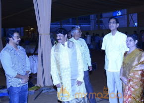 Balakrishna's Daughter Tejaswini Marriage Mandap Sets Photos  photo 53