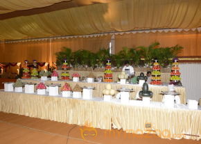 Balakrishna's Daughter Tejaswini Marriage Mandap Sets Photos  photo 107