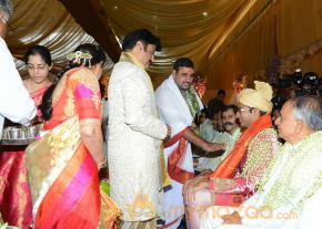 Balakrishna's Daughter Tejaswini Wedding Photos Gallery  photo 102