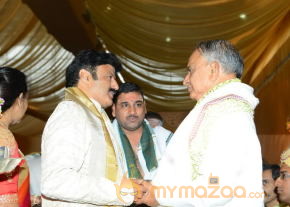Balakrishna's Daughter Tejaswini Wedding Photos Gallery  photo 77