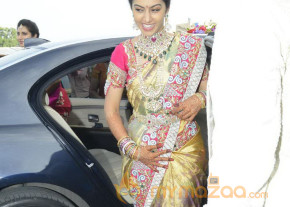 Balakrishna's Daughter Tejaswini Wedding Photos Gallery  photo 165