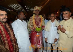 Balakrishna's Daughter Tejaswini Wedding Photos Gallery  photo 124
