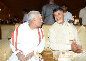 Balakrishna's Daughter Tejaswini Wedding Photos Gallery  photo 151