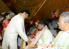 Balakrishna's Daughter Tejaswini Wedding Photos Gallery  photo 195