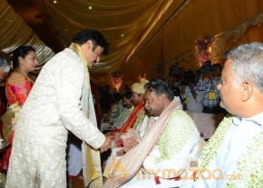 Balakrishna's Daughter Tejaswini Wedding Photos Gallery  photo 66