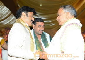 Balakrishna's Daughter Tejaswini Wedding Photos Gallery  photo 85