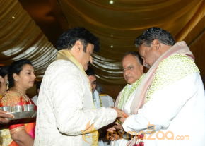 Balakrishna's Daughter Tejaswini Wedding Photos Gallery  photo 95