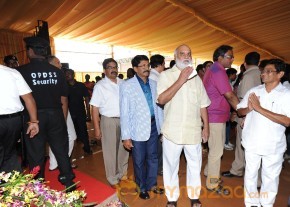 Balakrishna's Daughter Tejaswini Wedding Photos Gallery  photo 108