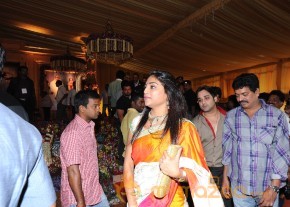 Balakrishna's Daughter Tejaswini Wedding Photos Gallery  photo 152