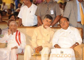 Balakrishna's Daughter Tejaswini Wedding Photos Gallery  photo 204